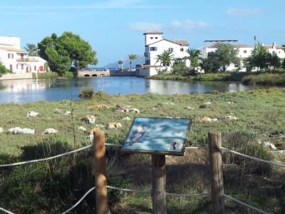 La Gola House Lejlighed Port de Pollença Eksteriør billede